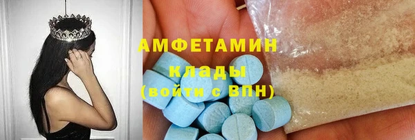 гидра Верея