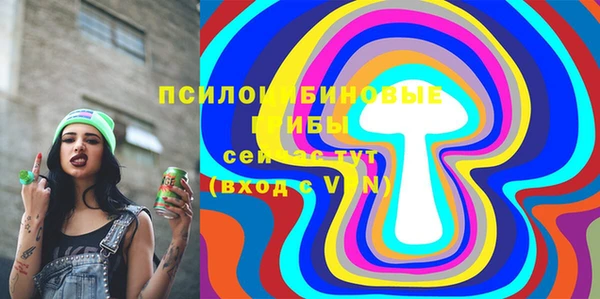 прущие грибы Верхний Тагил